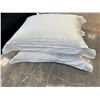 Image 1 : Qty 2 Down Pillows w/ Embroider-Accented Pillow Cases