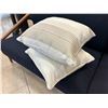 Image 2 : Qty 2 Woven Accent Pillows