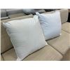 Image 1 : Qty 2 Pillow Inserts (No Cover) 24" x 24"