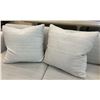 Image 1 : Qty 2 Throw Pillows, Woven Textured Fabric, Approx. 22" x 22"