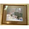 Image 1 : Large Photograph Wolves 30 x 24