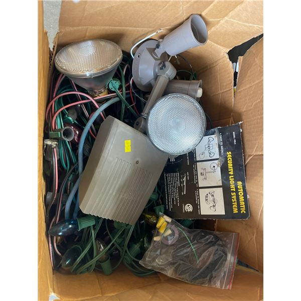 Outdoor Security Light & Christmas Lights