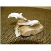 Image 1 : Imported bone with two porpoises on bone base (2)
