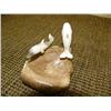 Image 2 : Imported bone with two porpoises on bone base (2)