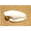 Image 4 : Ivory walrus on ivory base (159)