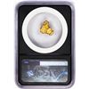 Image 2 : 3.89 Gram Australia Gold Nugget NGC Vaultbox Unvaulted