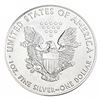 Image 4 : [20] 2016 Silver Eagle Roll