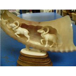 Horn with ivory rams on wood base 9.5" tall, 8" width (33)