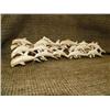 Image 1 : Imported school of porpoise of bone 12" long, 3" tall (33)