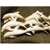 Image 2 : Imported school of porpoise of bone 12" long, 3" tall (33)