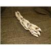 Image 5 : Imported school of porpoise of bone 12" long, 3" tall (33)