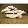 Image 1 : Imported salmon 4" tall 7" diameter (33)