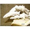 Image 2 : Imported salmon 4" tall 7" diameter (33)
