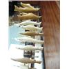 Image 4 : Lot of 25 salmon on ivory or bone bases (33)
