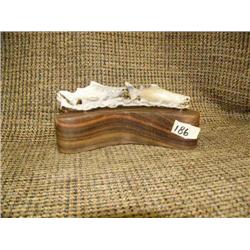 Imported on wood base salmon 5.5" long (33)