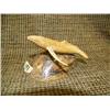 Image 1 : Imported bone whale on bone base 3.5" long (33)
