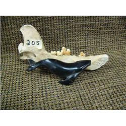Imported whale on jaw bone (33