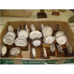Lot of 24 imported antler relief carvings on wood (33)