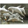 Image 3 : Imported bone carving of whales 5" tall 8" long (33)