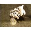 Image 4 : Imported bone carving of whales 5" tall 8" long (33)