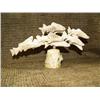 Image 1 : Bone carving 5" high 9" long of salmon - imported (33)