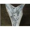 Image 2 : Imported antler on antler scrimshawed of moose (33)