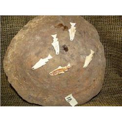 Whale disk with bone carved salmon imported (33)