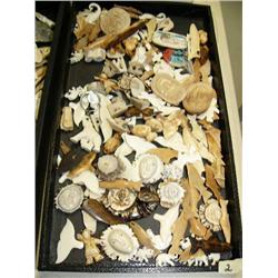Huge lot of ivory, bone and antler small carvings (33)