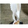 Image 3 : Ivory eagle on baleen base 4.5" tall (33)