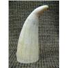 Image 3 : Ivory whales tooth 4.5" long scrimshawed and carved into billiken
