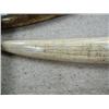 Image 10 : Huge walrus tusk 32" long by Rashidi with  whaling scene entitled "Whaler Navarch among ice" (33)