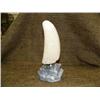 Image 4 : Whales tooth 7" high of 2 wolves unreadable signature (33)