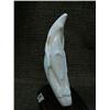 Image 4 : Whales tooth carved into whales 7" long - may be imported (33)