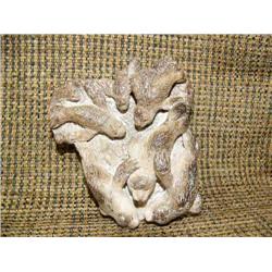 CHOICE on 2: imported otters made of bone -4" long (33)