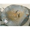 Image 3 : Cast iron bird bath 29" tall 18" wide (3)