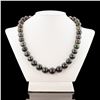 Image 1 : 11mm to 14mm Tahitian Cultured Pearl Necklace with 14K White Gold Clasp