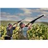 Image 8 : Argentine Bird Hunts