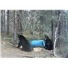 Image 11 : Black Bear Hunt with ADI Hunts, Saskatchewan, Canada