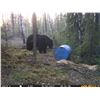Image 17 : Black Bear Hunt with ADI Hunts, Saskatchewan, Canada