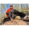 Image 22 : Black Bear Hunt with ADI Hunts, Saskatchewan, Canada