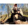 Image 23 : Black Bear Hunt with ADI Hunts, Saskatchewan, Canada