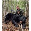 Image 25 : Black Bear Hunt with ADI Hunts, Saskatchewan, Canada