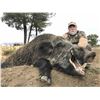 Image 14 : Beceite Ibex or Iberian Red Stag Hunt in Zaragoza Spain Donated by 4 Aces Outfitters