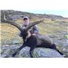 Image 19 : Beceite Ibex or Iberian Red Stag Hunt in Zaragoza Spain Donated by 4 Aces Outfitters