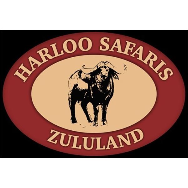 Harloo Safari