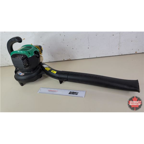 Weed Eater Leaf Blower: 25cc (SEE PICS!)