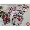 Image 2 : HOCKEY CARD Collection : TOPS/PRO-SET/PANINI : Variety (Total Approx. 5000+ Cards)