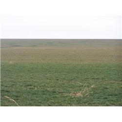 167 +/- acres Grant Co., OK Land