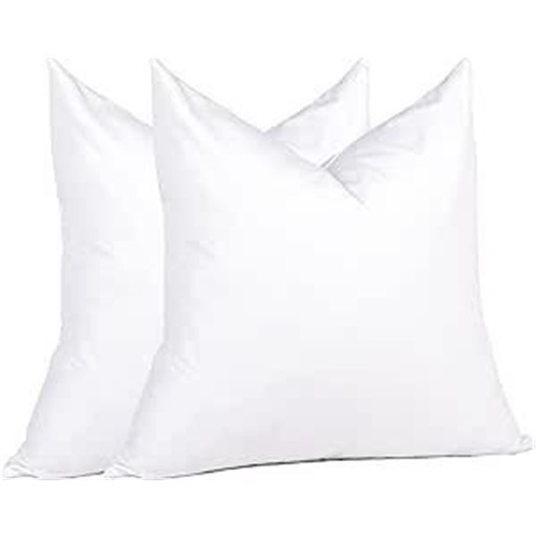 Lot of 1 Box of PureDown Feather Throw Pillow Inserts - Set of 2 - 20 x 20 inch Size - BRAND NEW!