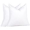 Image 1 : Lot of 1 Box of PureDown Feather Throw Pillow Inserts - Set of 2 - 20 x 20 inch Size - BRAND NEW!